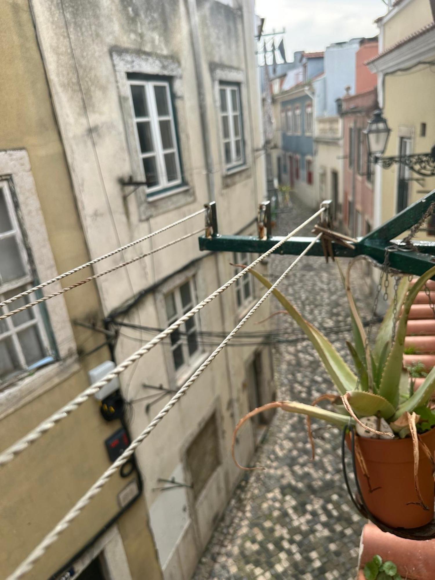 Francisca * Lisboa
